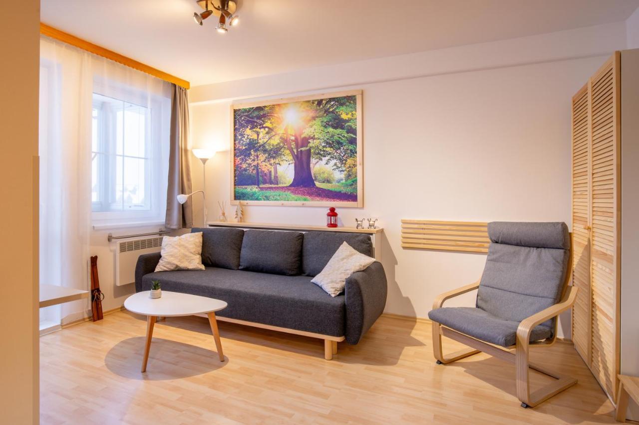 Apartmany D U Sjezdovky - ホルニー・ミーセチキ エクステリア 写真